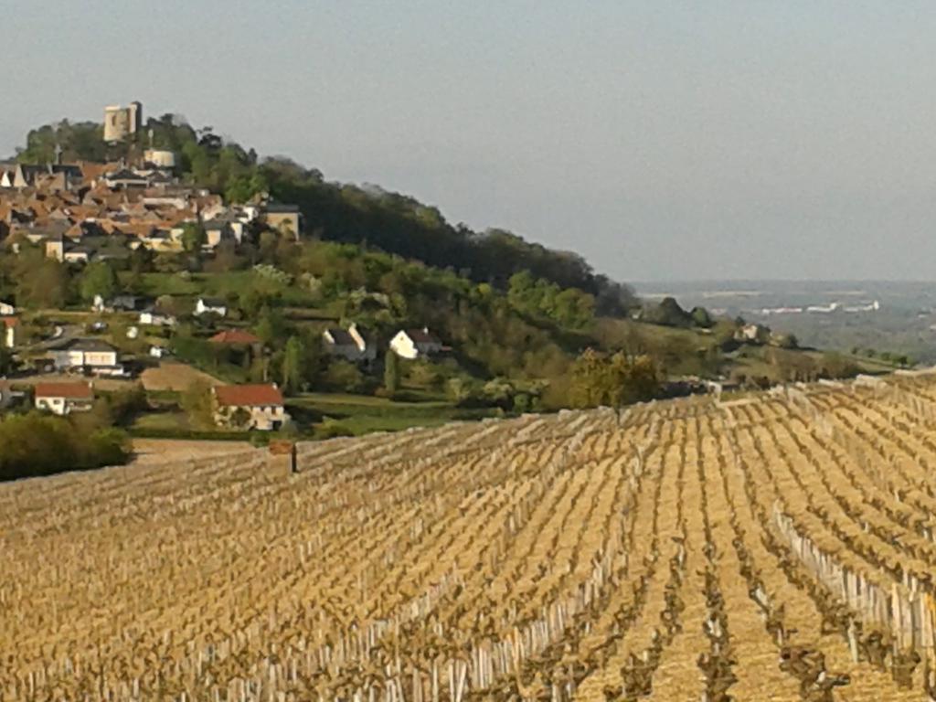 Hôtel Le Clos Saint Martin à Sancerre Extérieur photo